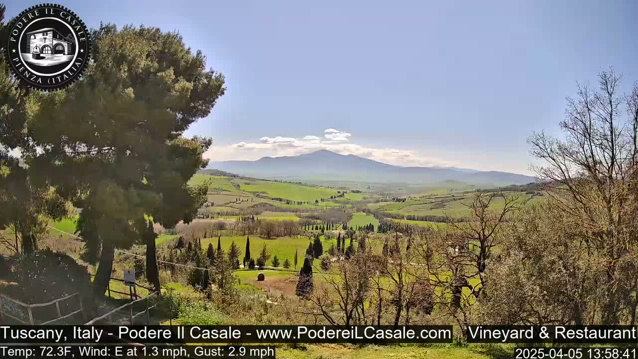 A picturesque Tuscan landscape unfolds under a clear blue sky, showcasing rolling green hills, a distant mountain range, and scattered trees.