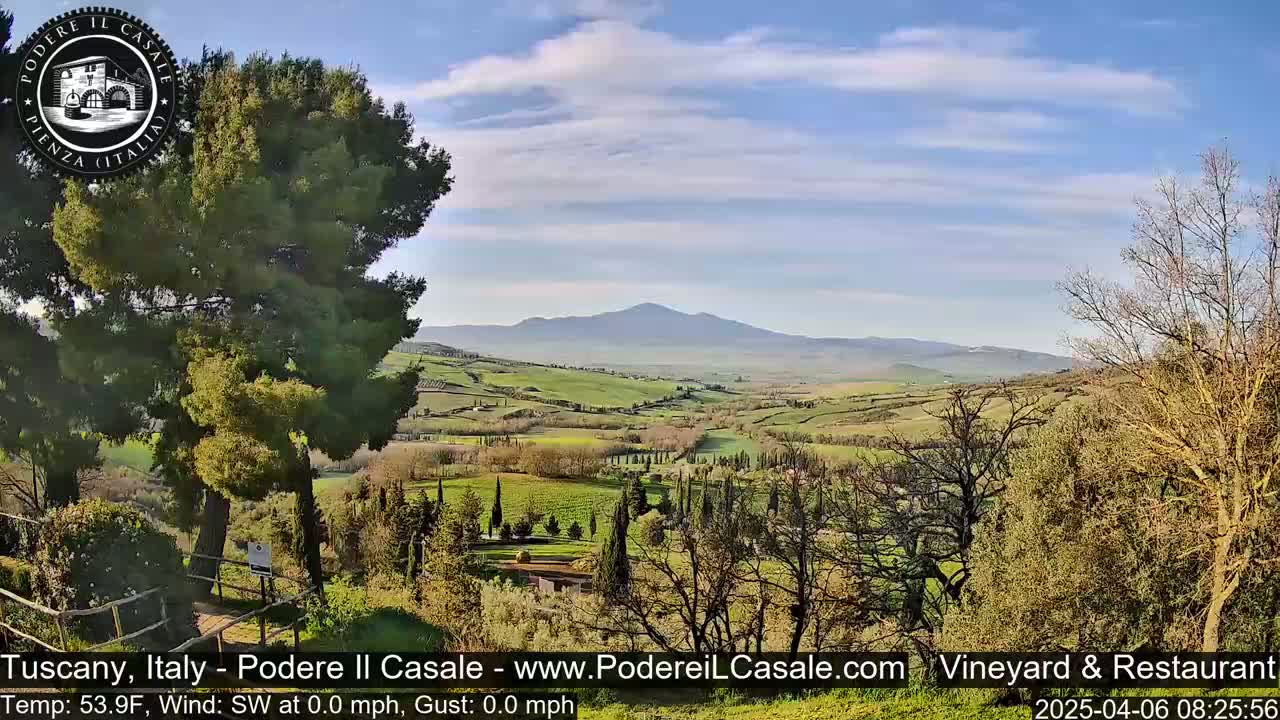 A picturesque Tuscan landscape under a mostly clear sky shows rolling green hills, cypress trees, and a distant mountain range.