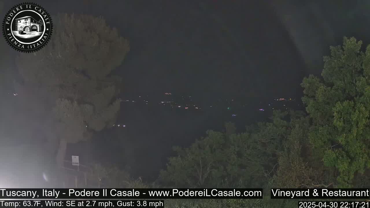 A nighttime view of a dimly lit town nestled in a valley, partially obscured by dark foliage, under a cloudy sky.