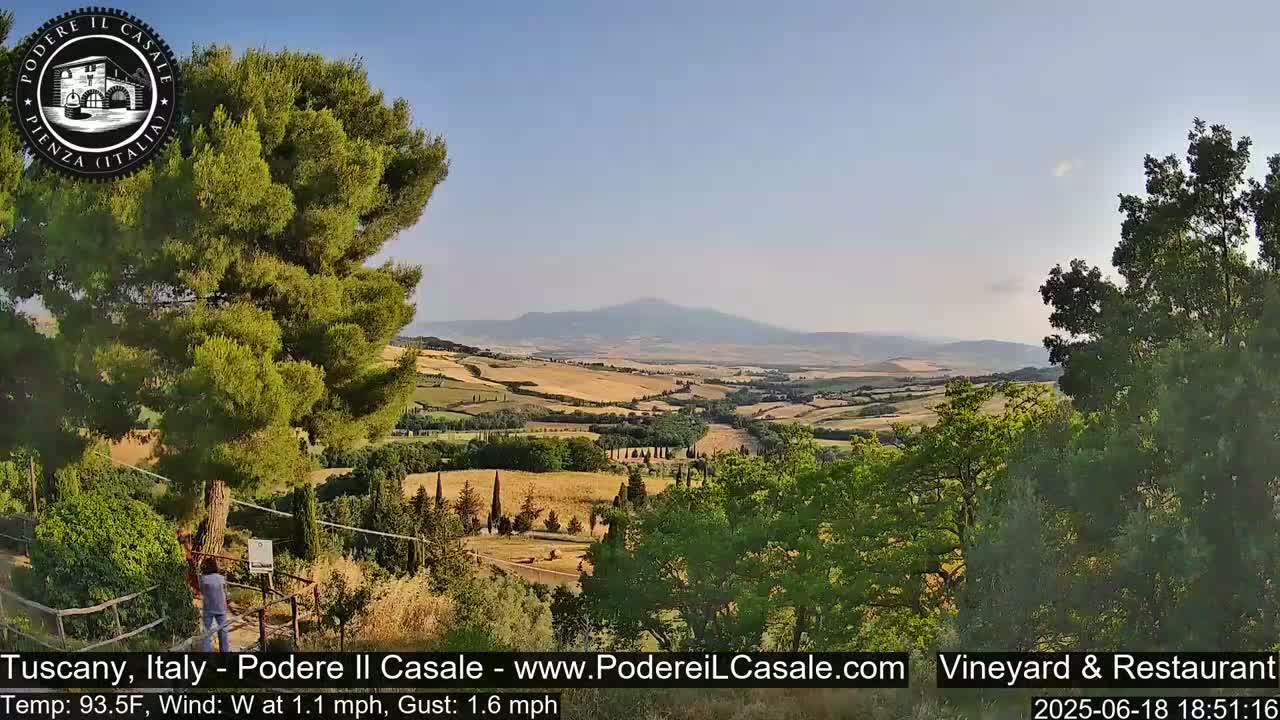 A person stands near trees overlooking a vast, hilly landscape of golden fields under a clear, sunny sky.