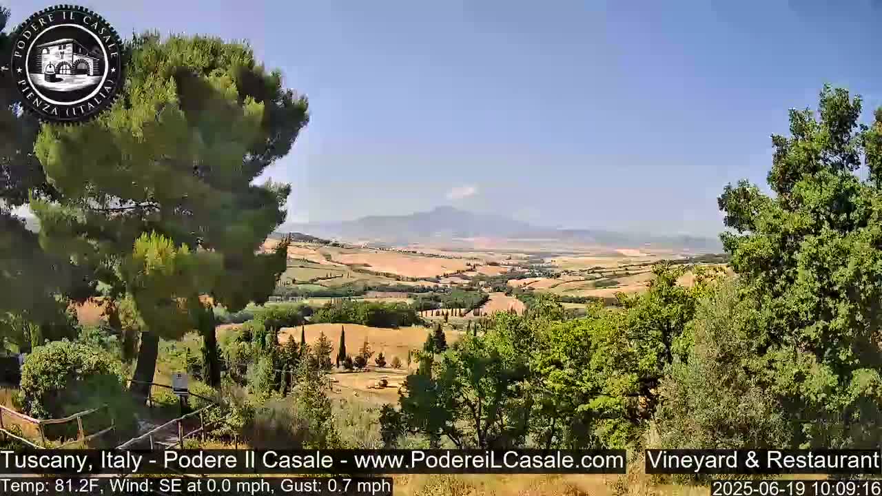 A scenic view of rolling hills and vineyards under a clear blue sky.