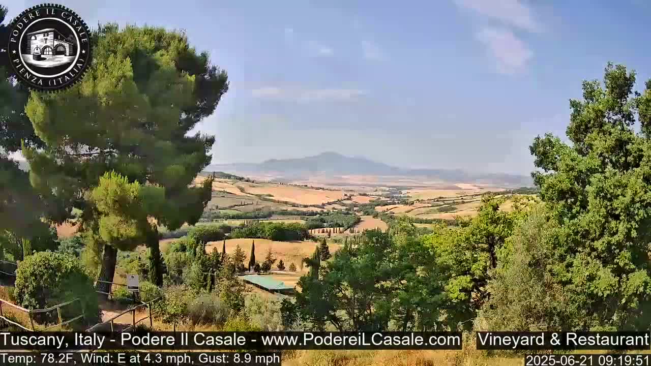 A sunny, slightly breezy vista of rolling Tuscan hills and vineyards, with a distant mountain range under a clear blue sky.
