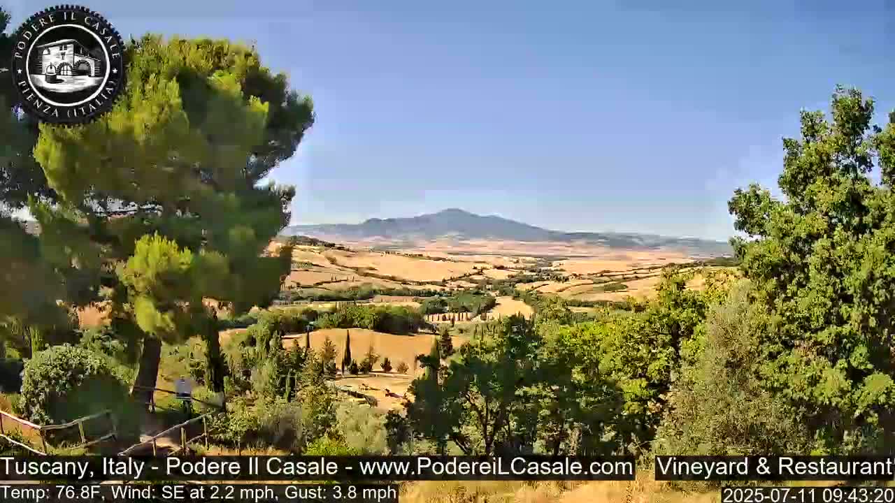 A sunny, partly-cloudy view of a rolling Tuscan landscape, featuring vineyards, trees, and a distant mountain range.