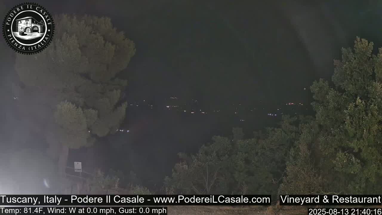 A nighttime, long shot shows a valley with faint lights in the distance, framed by dark trees under a clear, dark sky.