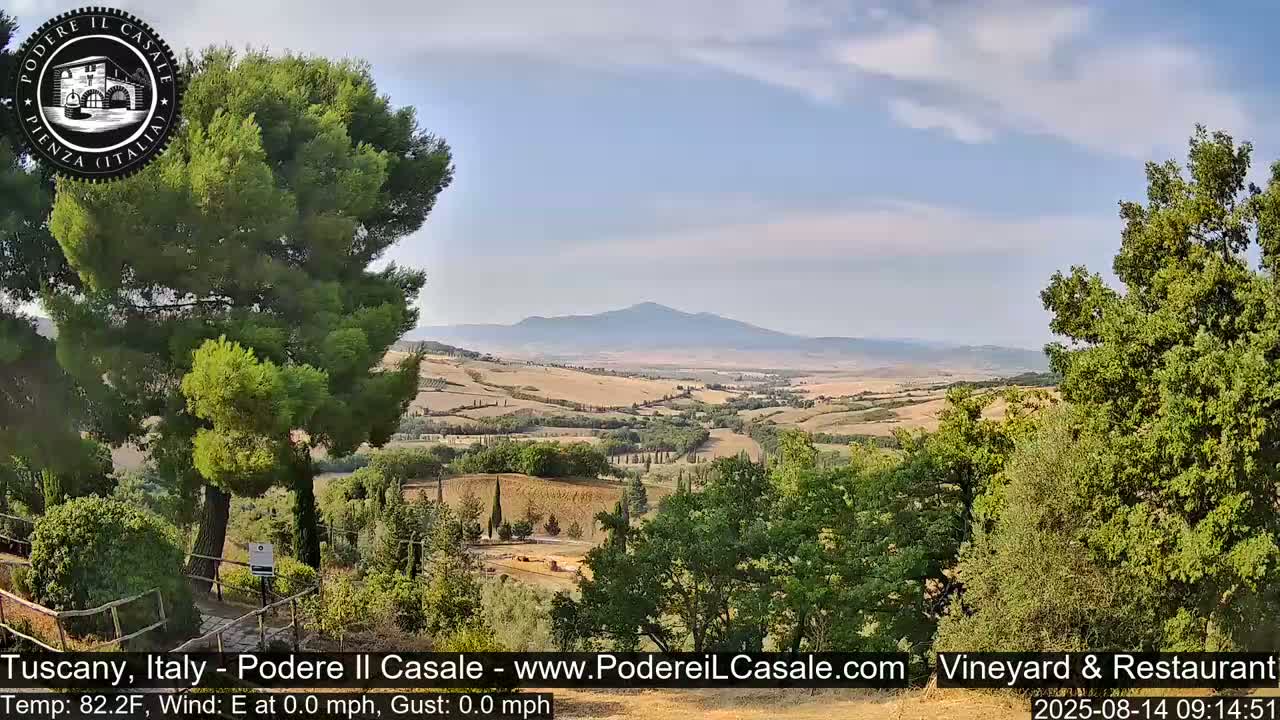 A tranquil, sunny view of a Tuscan landscape reveals rolling hills, vineyards, and a distant mountain under a mostly clear sky.