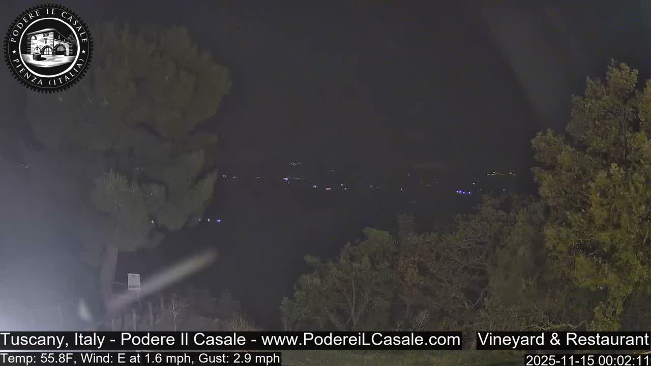 A clear, dark night scene reveals distant scattered lights across a landscape, framed by the silhouettes of trees in the foreground and mid-ground.