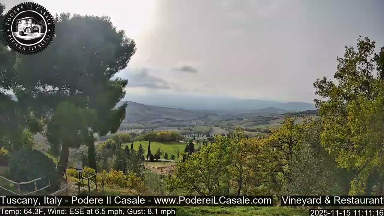 A vast landscape of rolling hills and valleys, characterized by a mix of fields and dense tree cover including cypress rows, is seen under a cloudy sky.