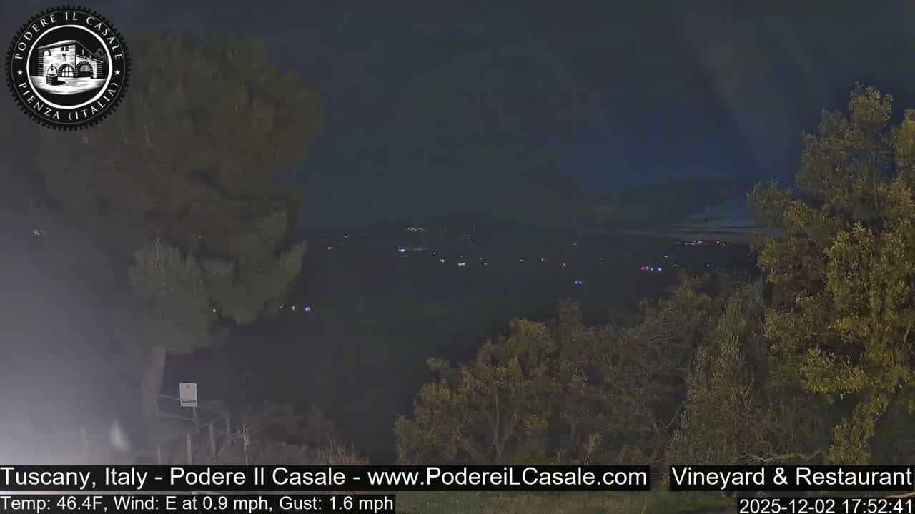 A clear night view displays a dark landscape with trees flanking the foreground and distant scattered lights from a settlement visible across a valley.