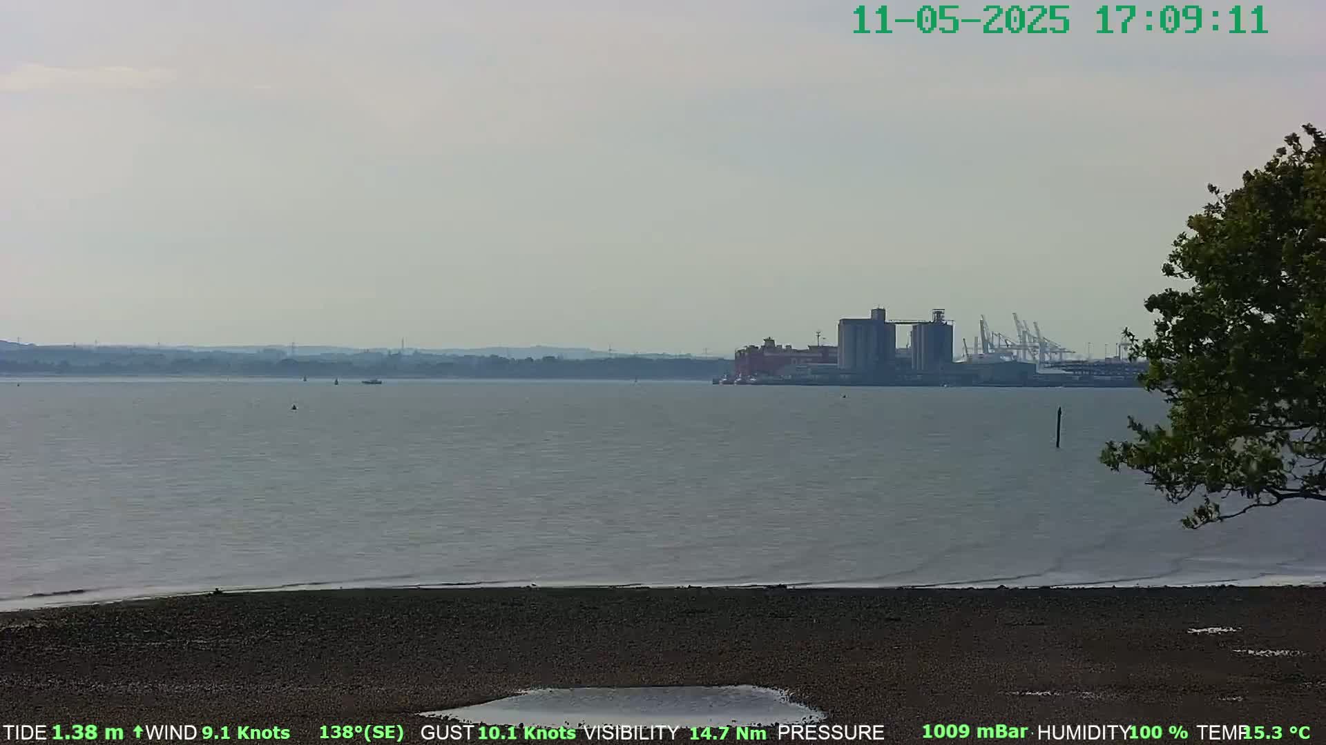 A hazy view of a calm body of water shows a distant industrial area with grain silos and cranes, a flat shoreline, and a tree in the foreground.
