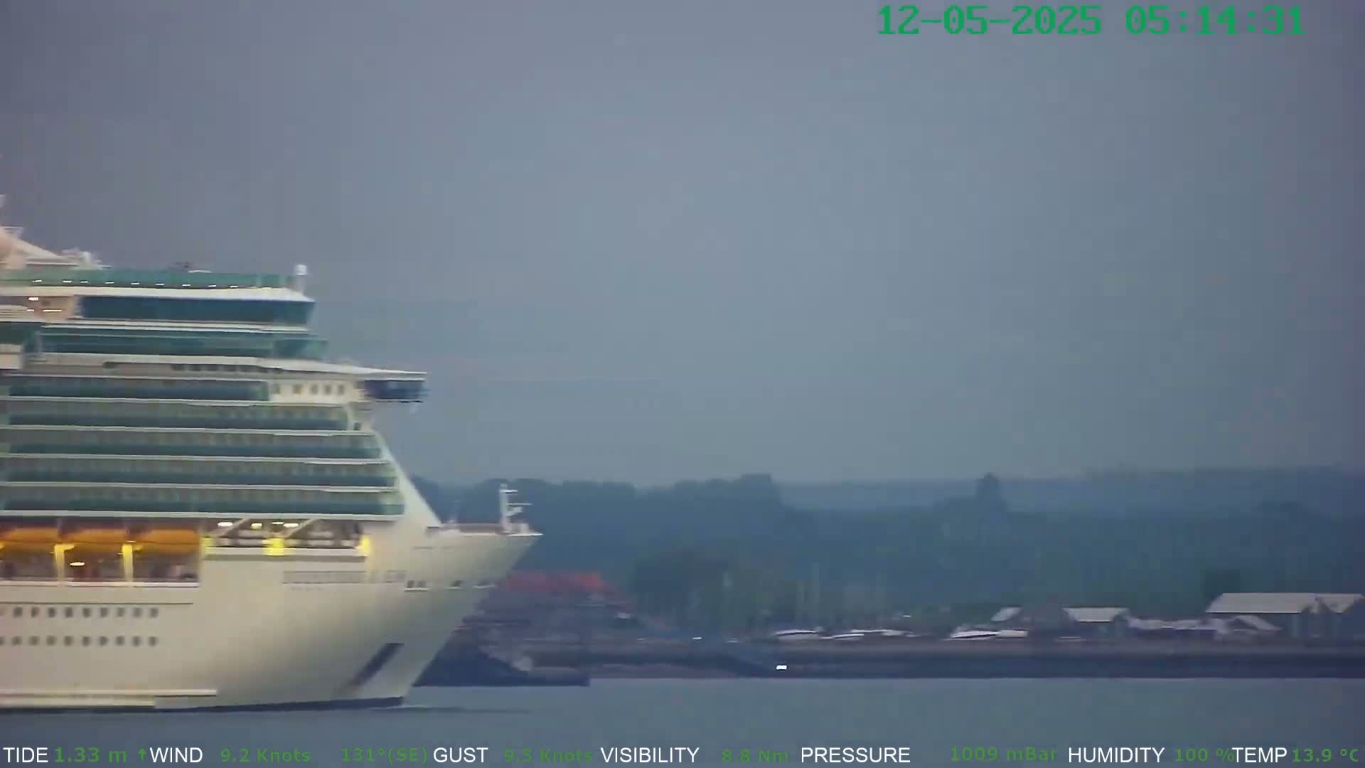 A large cruise ship is seen in hazy, overcast conditions near a shoreline with some buildings.