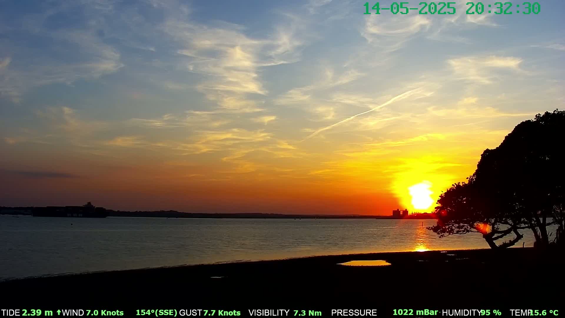 A vibrant sunset over calm water, with a silhouetted tree in the foreground and a partly cloudy sky.