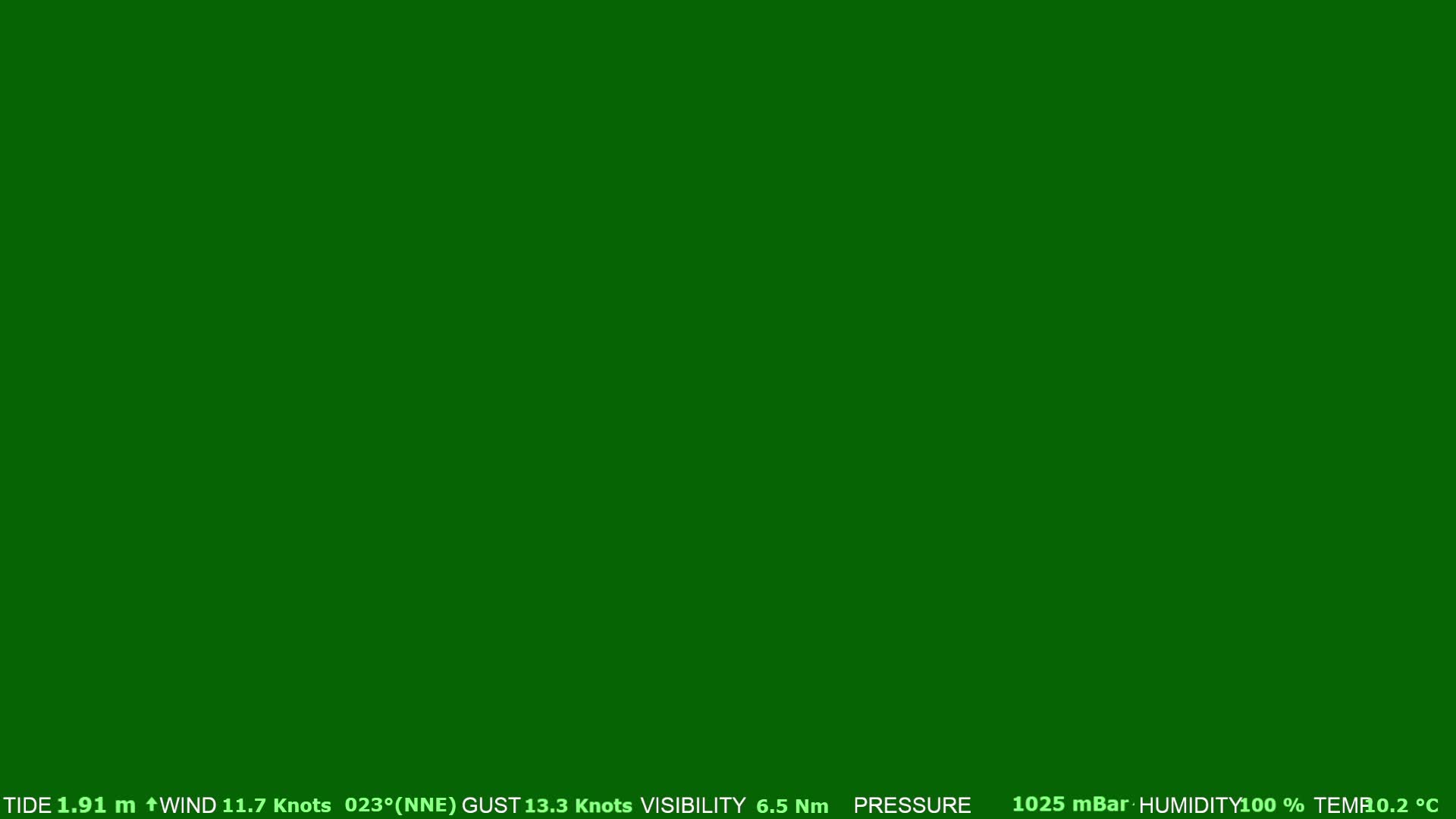 A solid, dark green background.