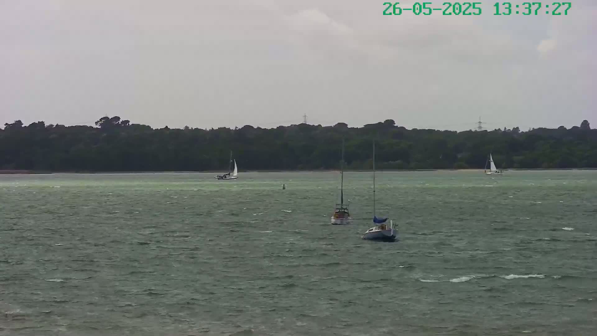 Three sailboats are visible on a choppy body of water in front of a tree-lined shore under an overcast sky.