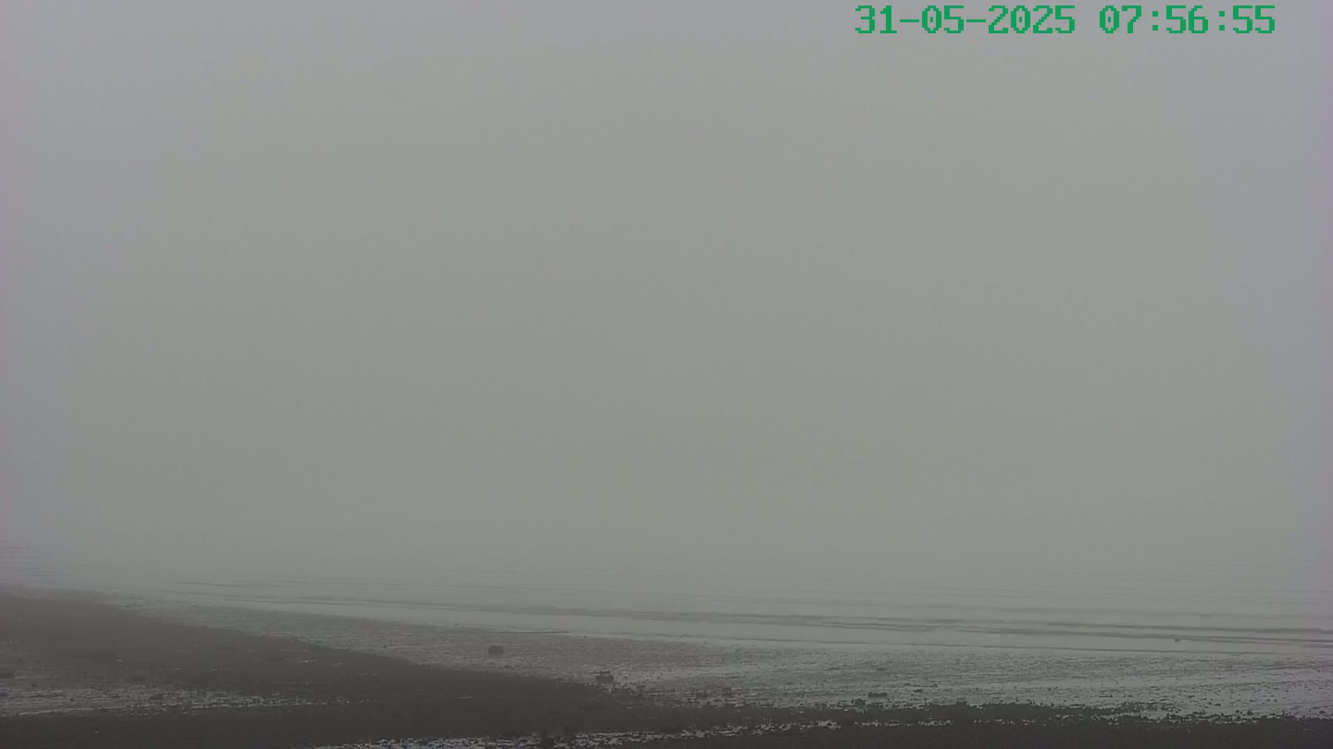 A foggy beach scene shows a dark shoreline meeting a calm, gray body of water under a thick fog.