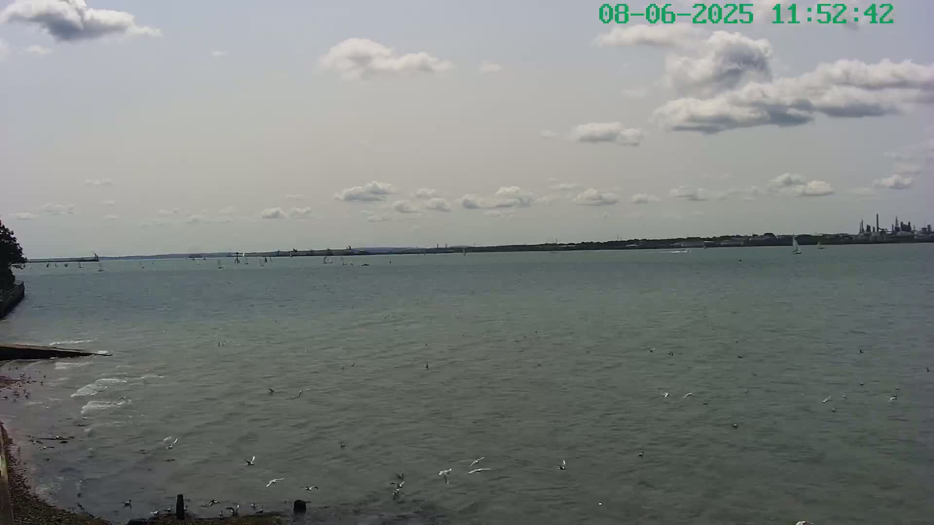 A body of water with numerous sailboats and several birds flying over it under a partly cloudy sky.