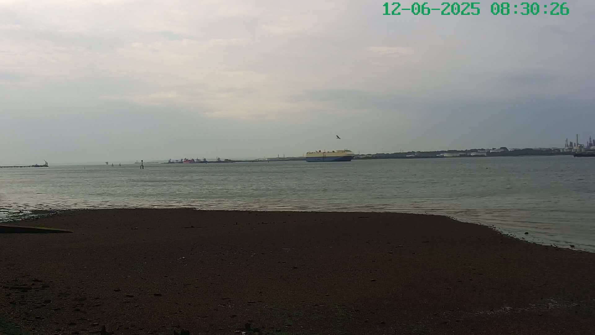 A dark, sandy shore stretches towards a calm body of water under an overcast sky, with a large cargo ship and distant industrial structures visible on the horizon.