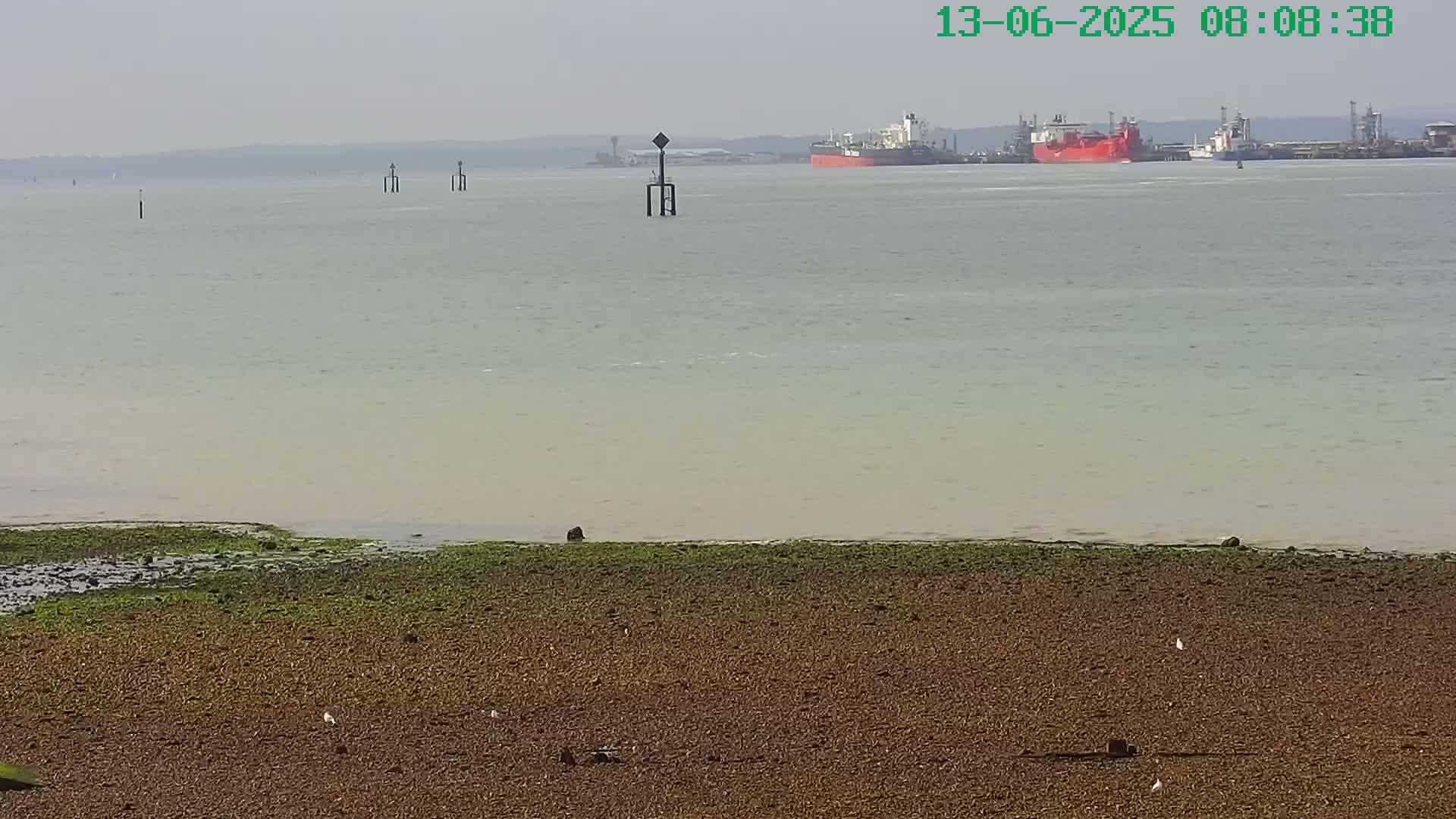 A calm, hazy day reveals a shoreline of exposed mudflats and seaweed, with several ships visible in the distance on a body of water.