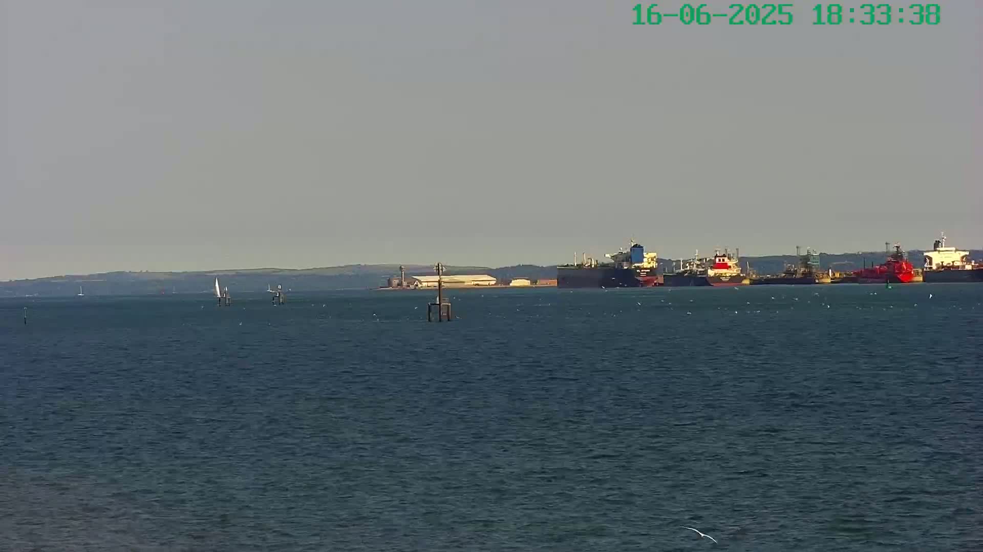 A calm body of water shows several large ships docked near a shoreline under a hazy sky.
