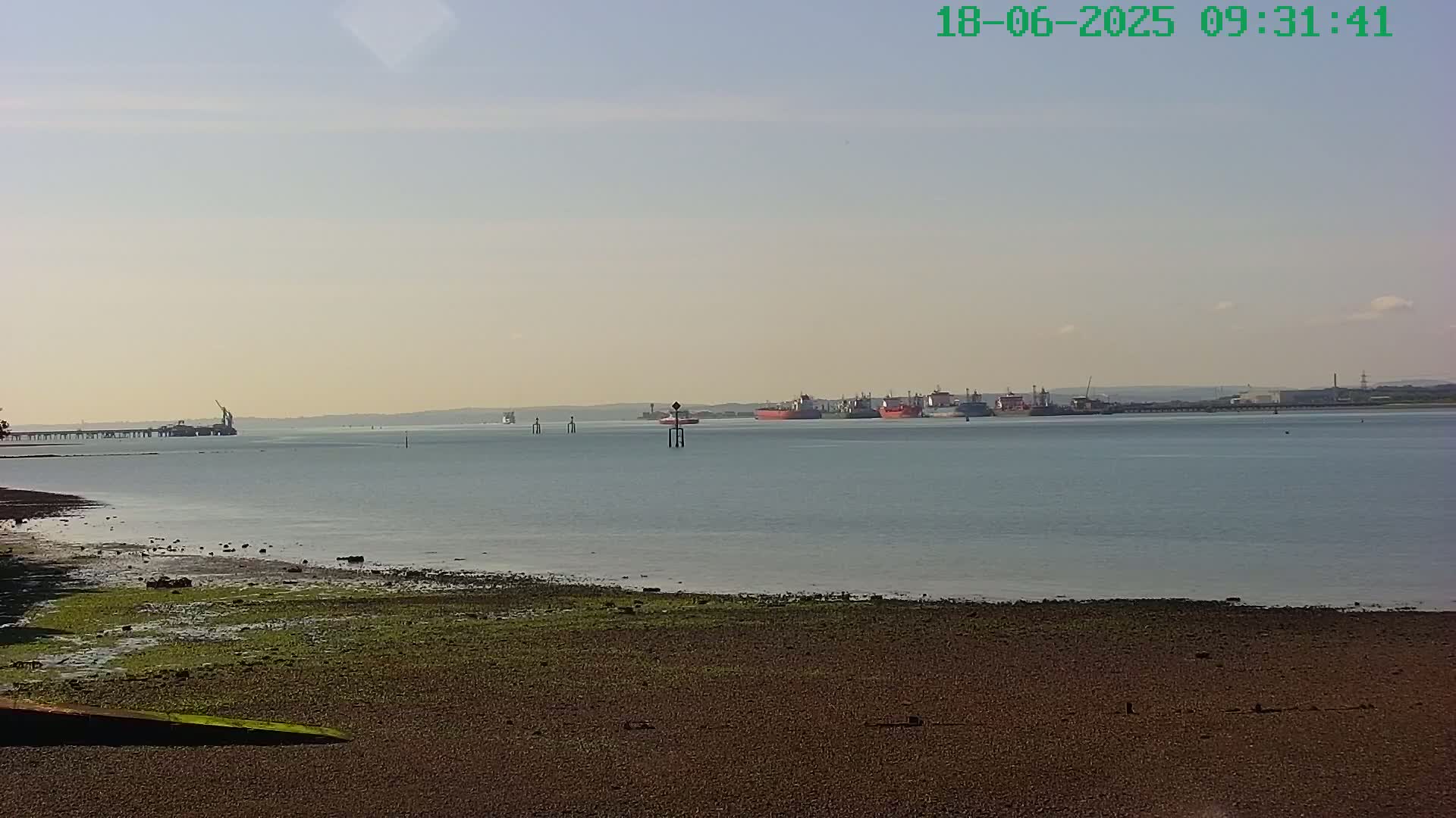 A calm, sunny day reveals a shoreline with patchy green algae, a calm body of water, and several ships in the distance.