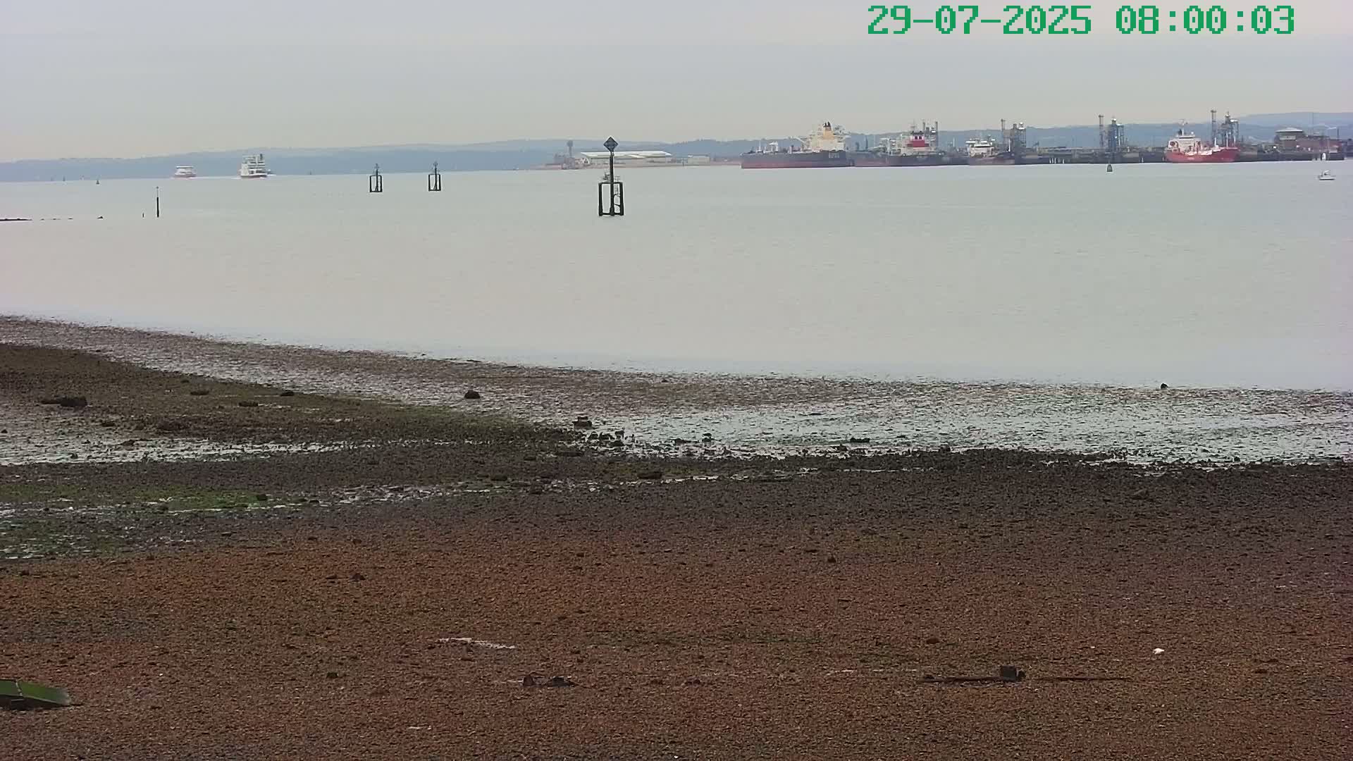 A mostly-calm body of water with several ships in the distance, seen from a muddy, sandy shore under an overcast sky.