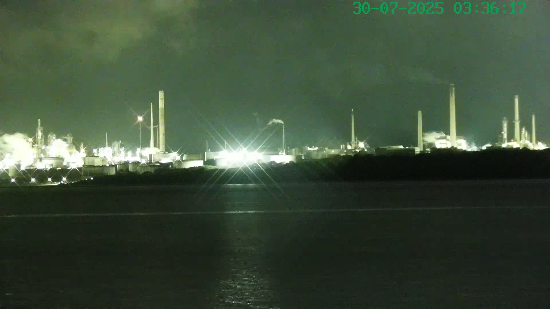 A mostly-calm body of water with several ships in the distance, seen from a muddy, sandy shore under an overcast sky.