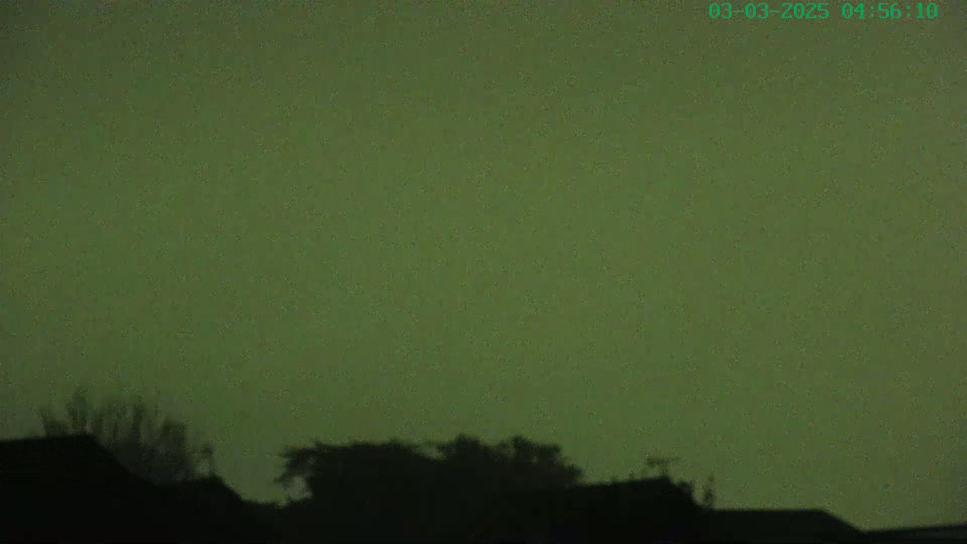 Silhouetted trees and rooftops are visible against a dark, greenish-tinted night sky.