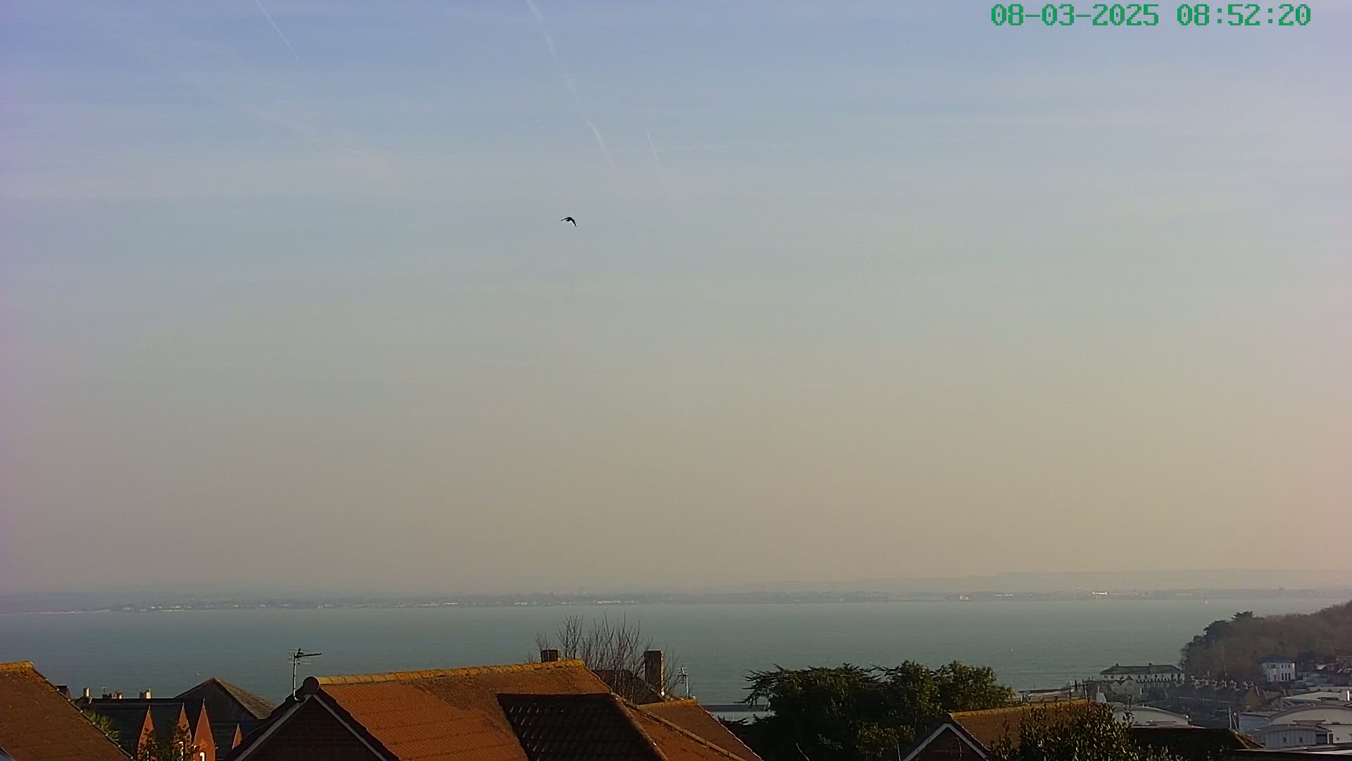 A hazy view of a calm body of water stretches to the horizon, with a single bird in flight and rooftops in the foreground.