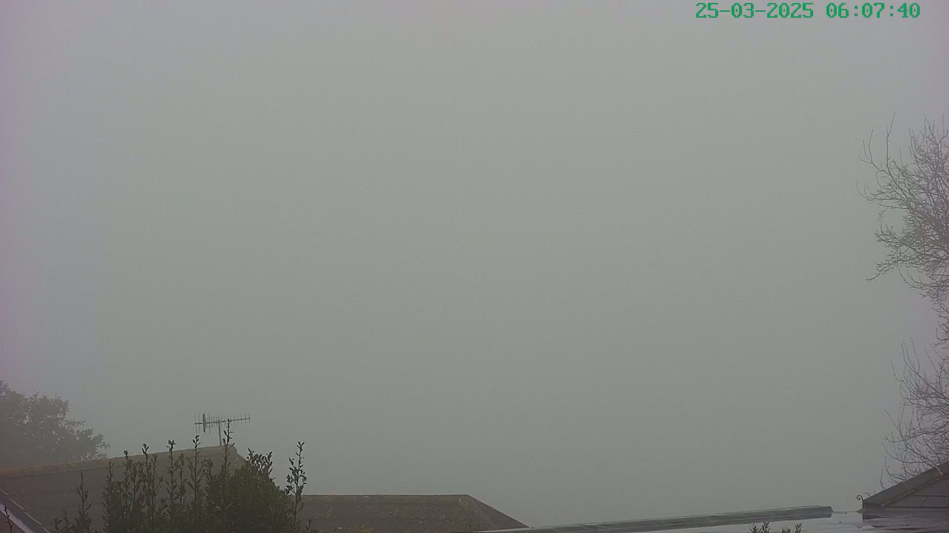 A thick fog obscures the view of rooftops and trees.