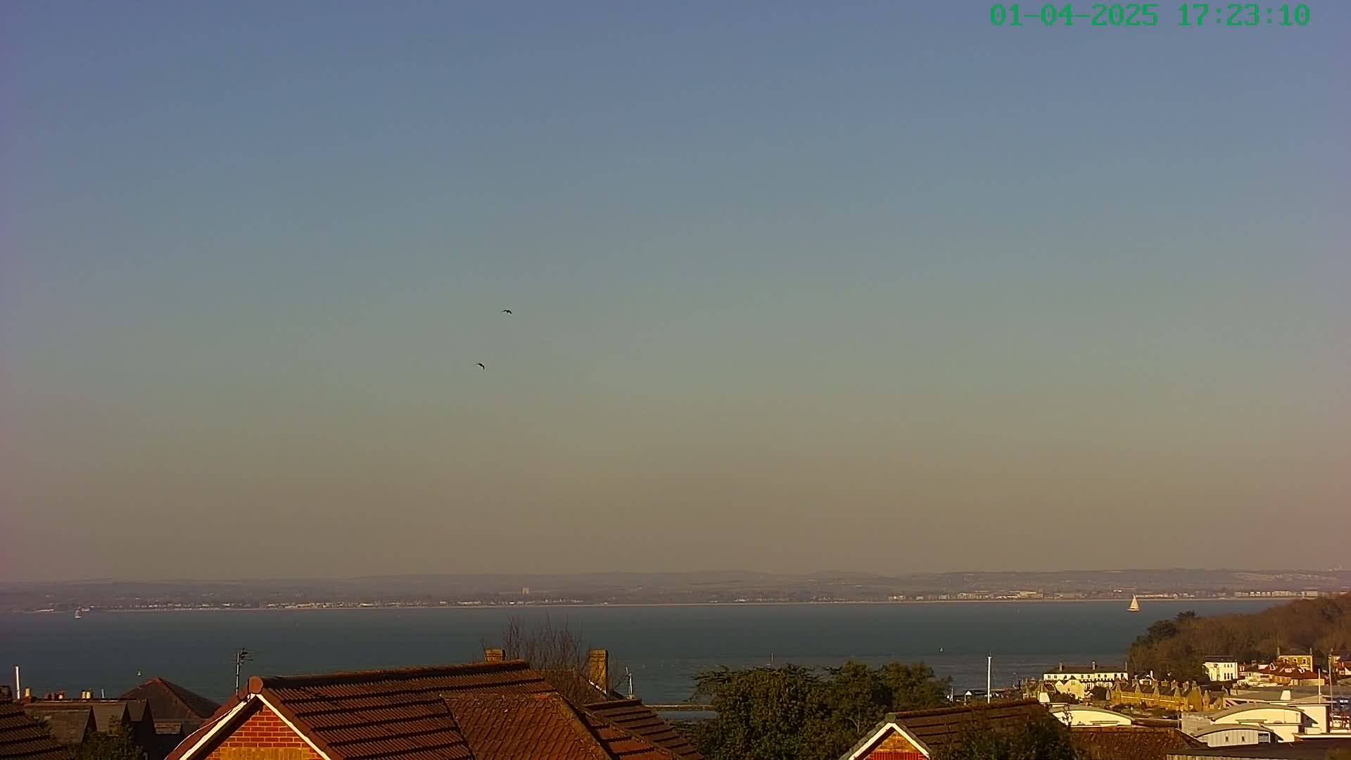 Under a clear, pale-blue sky, a calm body of water stretches to a distant shoreline, with a few birds in flight and rooftops in the foreground.