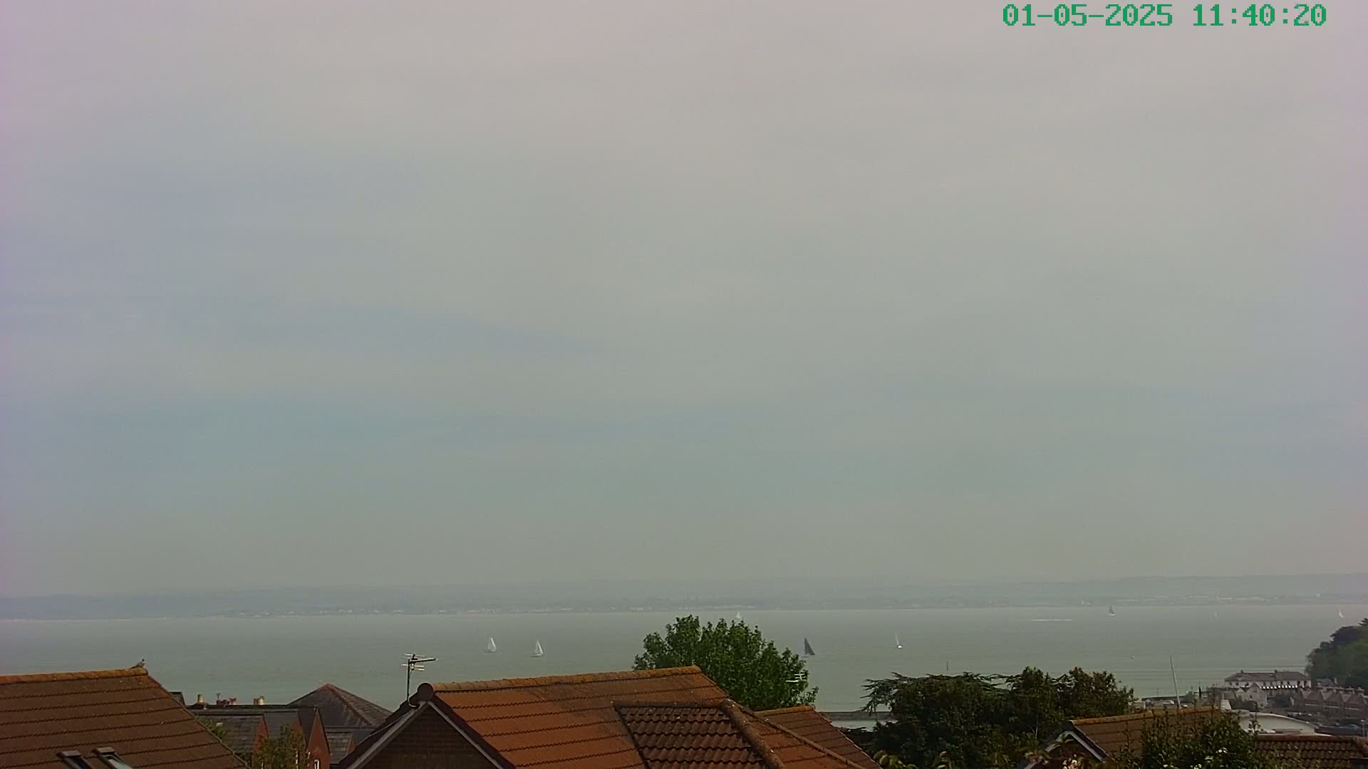 A hazy view of a calm body of water with several sailboats, seen from above a line of rooftops and trees.