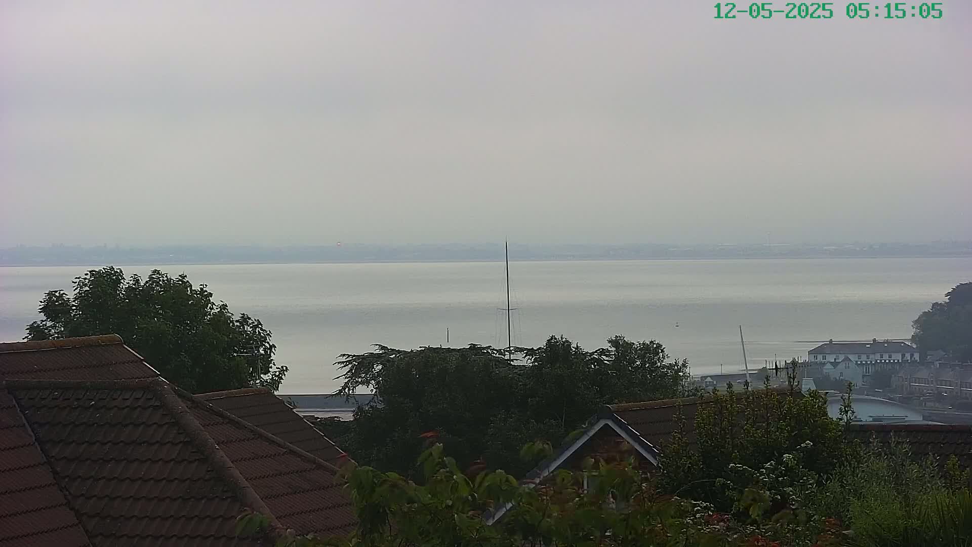 A hazy view of a calm body of water stretches to a distant shoreline, seen from behind houses with brown tiled roofs and overgrown vegetation in the foreground.