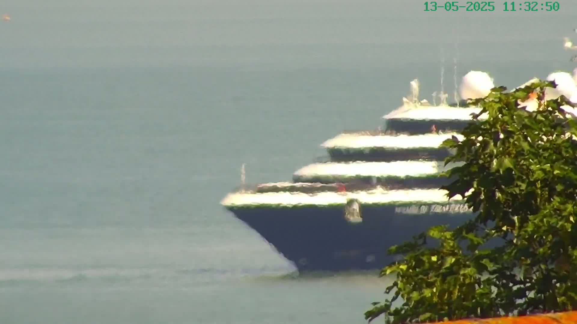 A large cruise ship is seen from a distance on a calm, hazy body of water, partially obscured by foreground foliage.