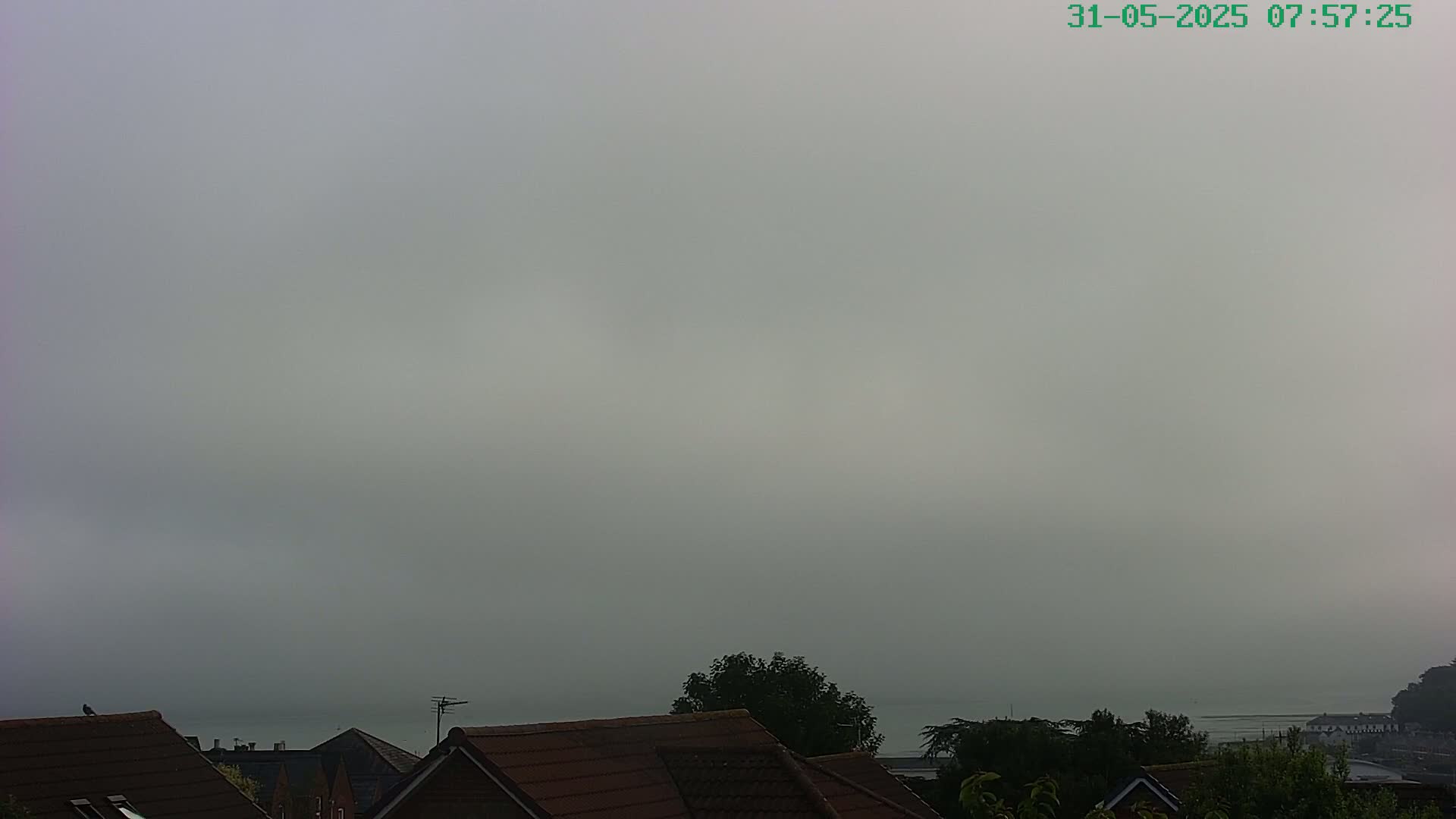 A foggy, overcast view shows the tops of houses and trees, with a hazy body of water visible in the distance.