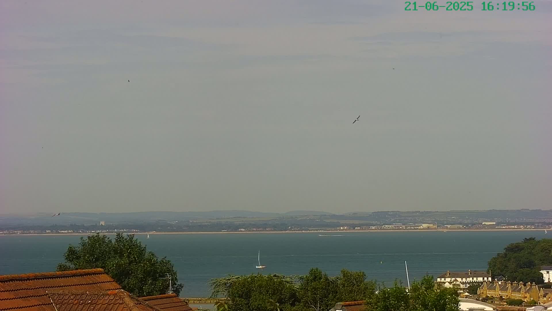 A hazy, sunny day overlooks a calm expanse of water, with distant land and a few birds in flight, viewed from a vantage point above rooftops.