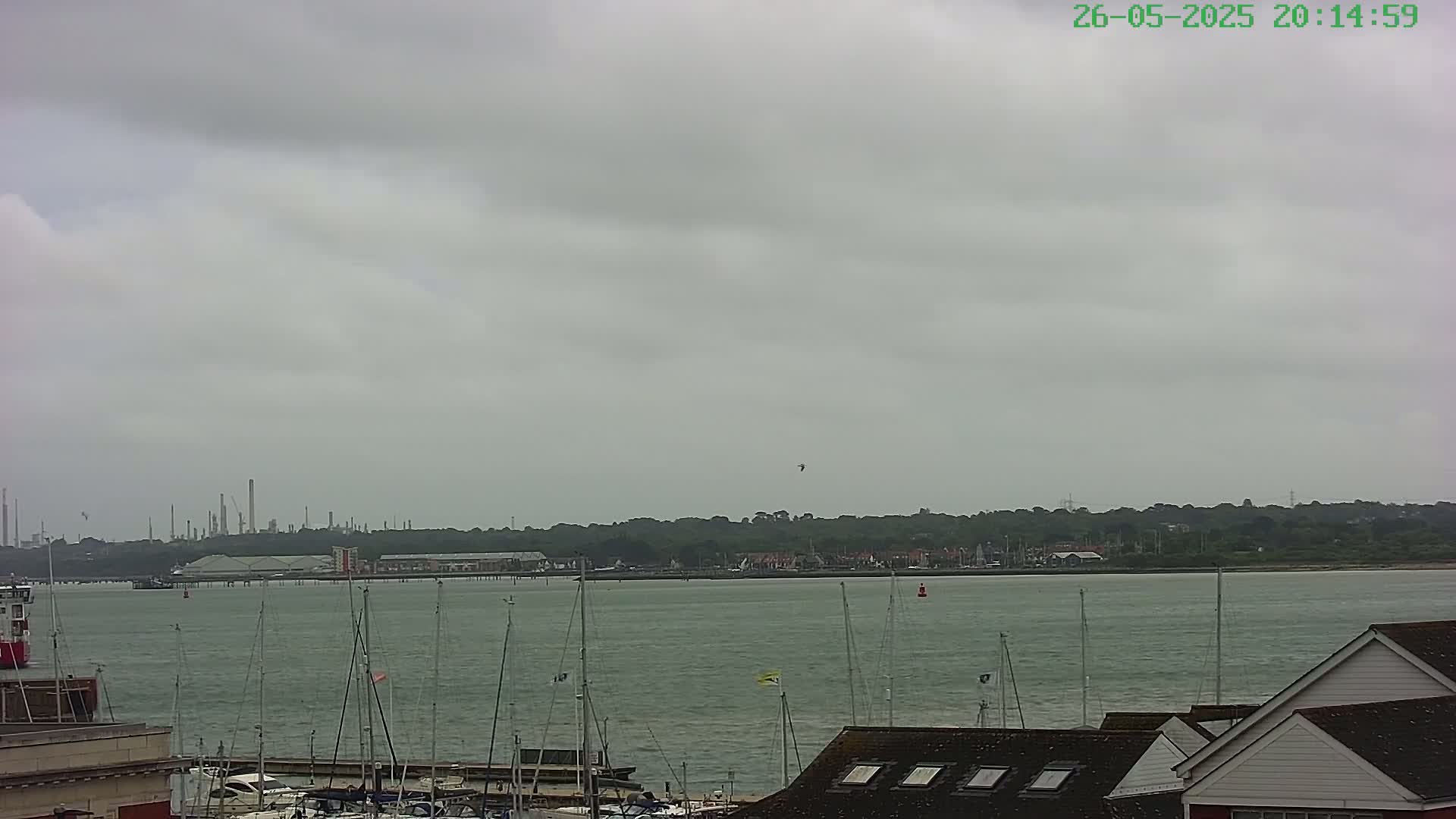 A gray, overcast sky hangs over a calm body of water where numerous sailboats are docked, with a distant industrial area visible on the horizon.