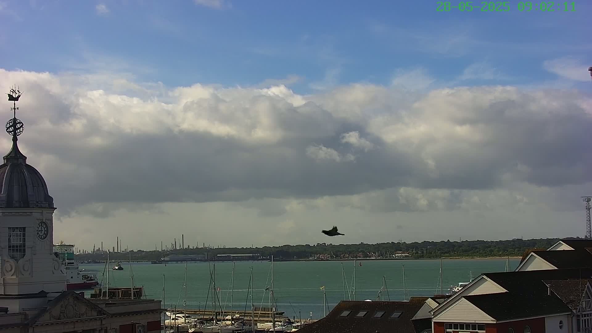 A bird flies over a harbor filled with sailboats under a partly cloudy sky.