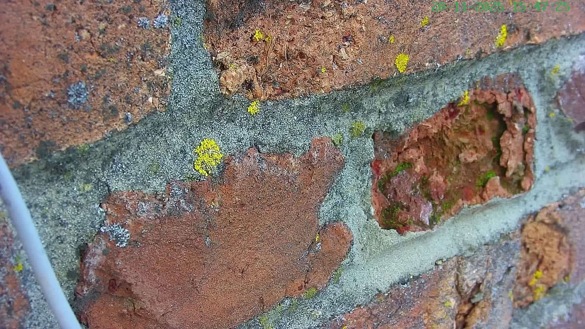 Marine of Southampton & Test River Live Cam - Southampton, Hampshire, South East, England, United Kingdom