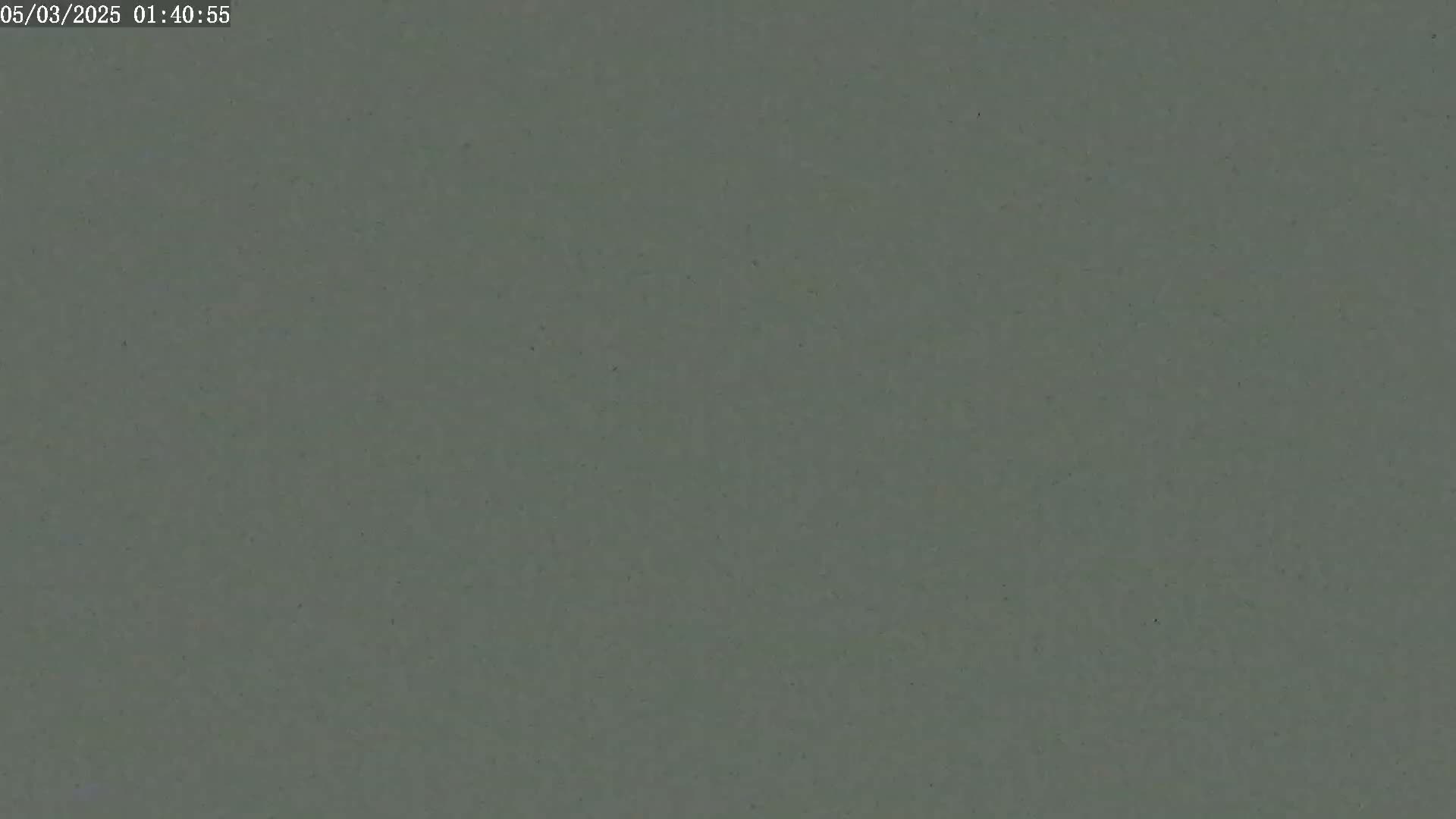The image shows a uniformly colored, dark grayish-green surface.