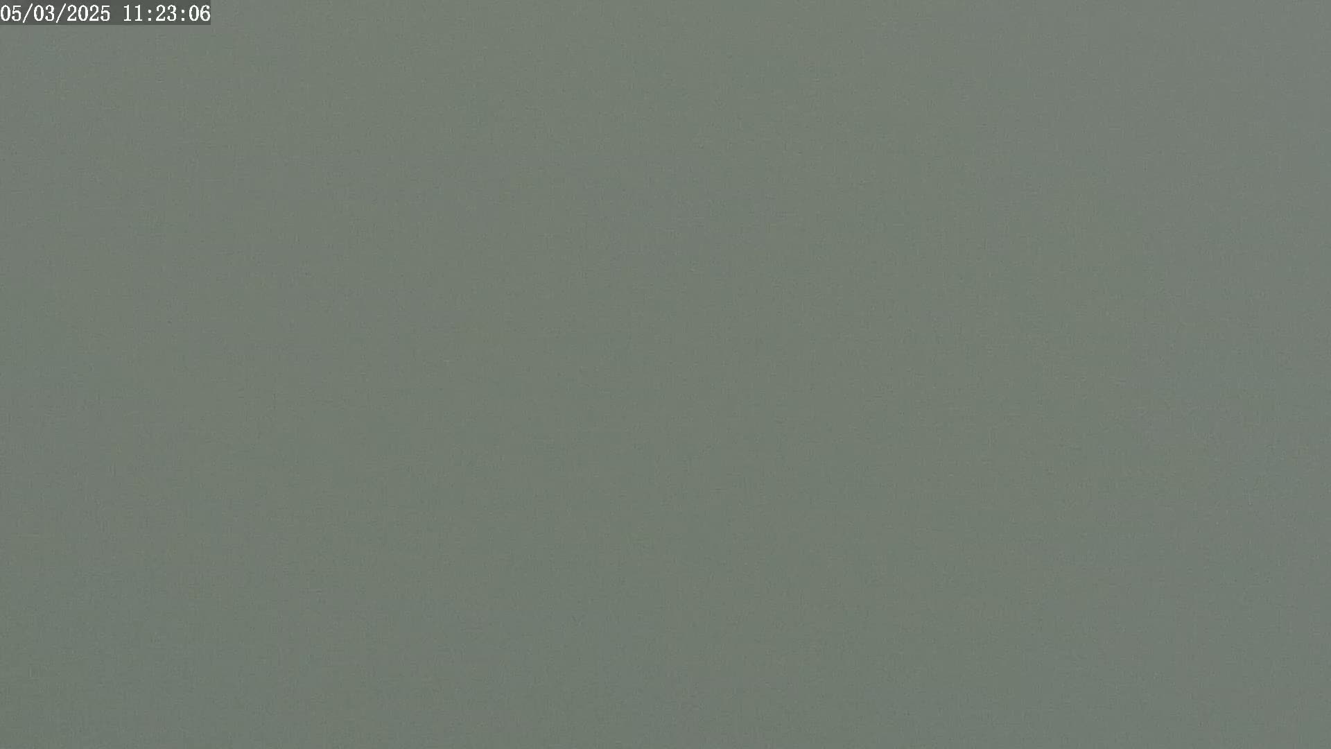 A uniformly muted green-gray surface fills the entire image.