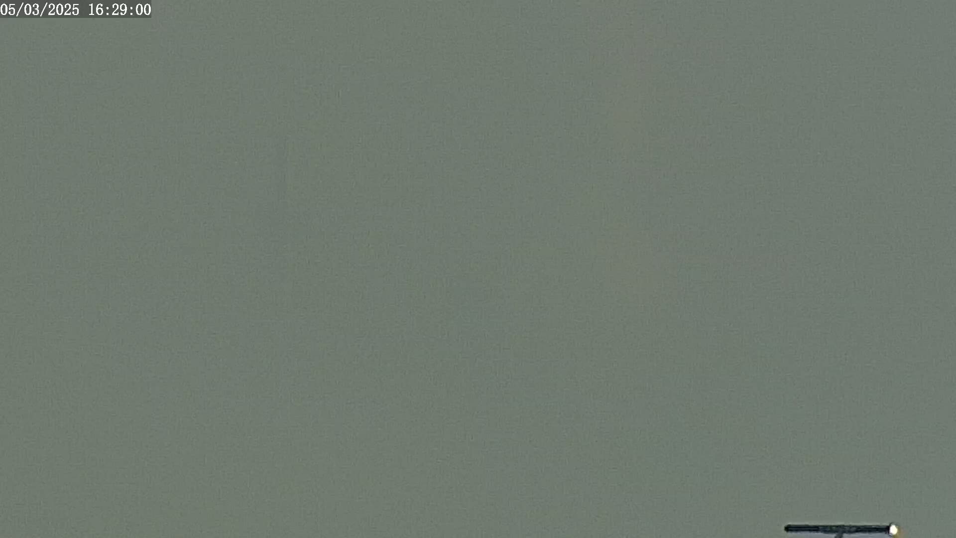 A solid, muted green-gray background is shown, with a thin, dark horizontal bar at the bottom.