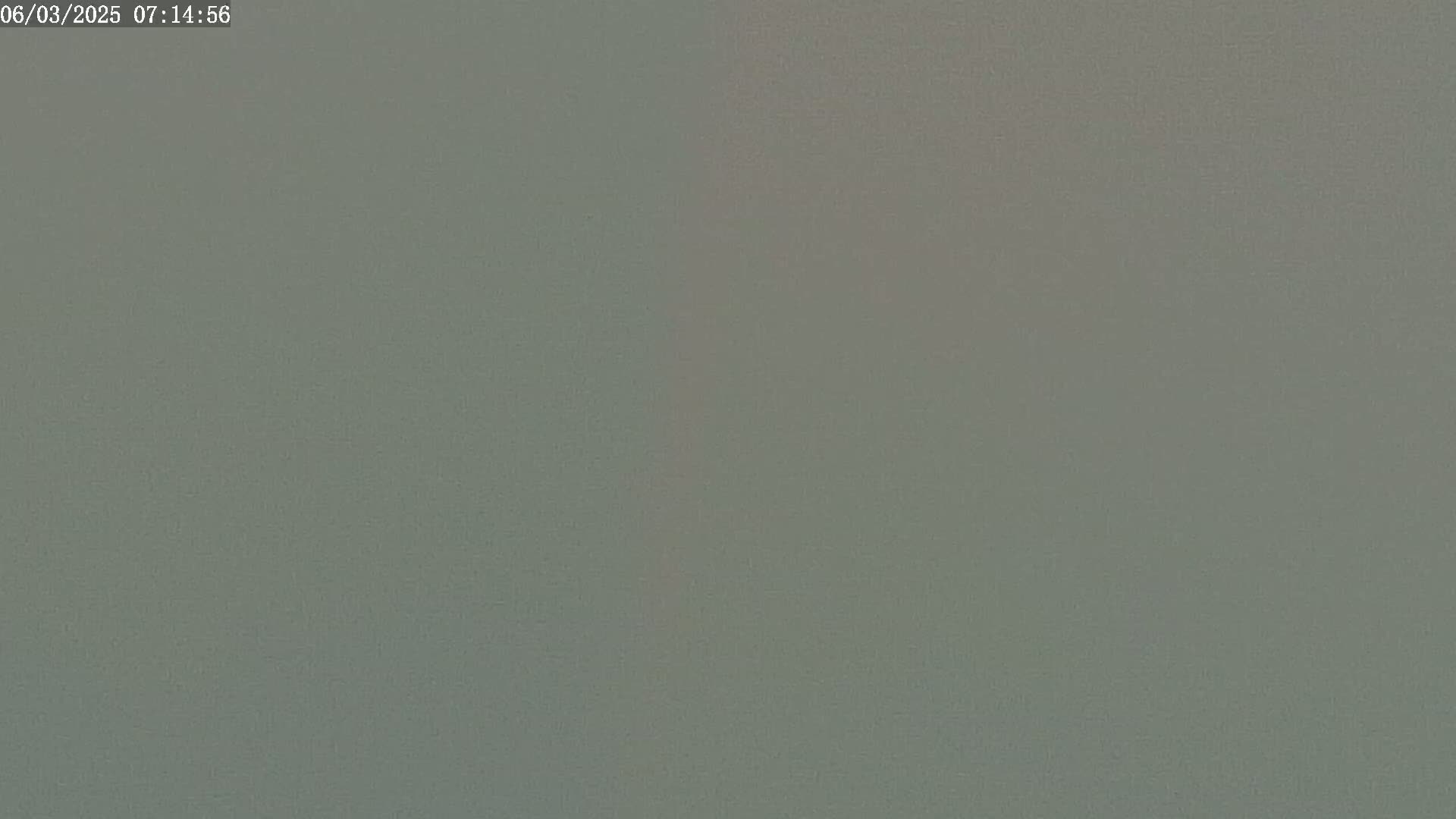 A solid, muted green surface is shown.