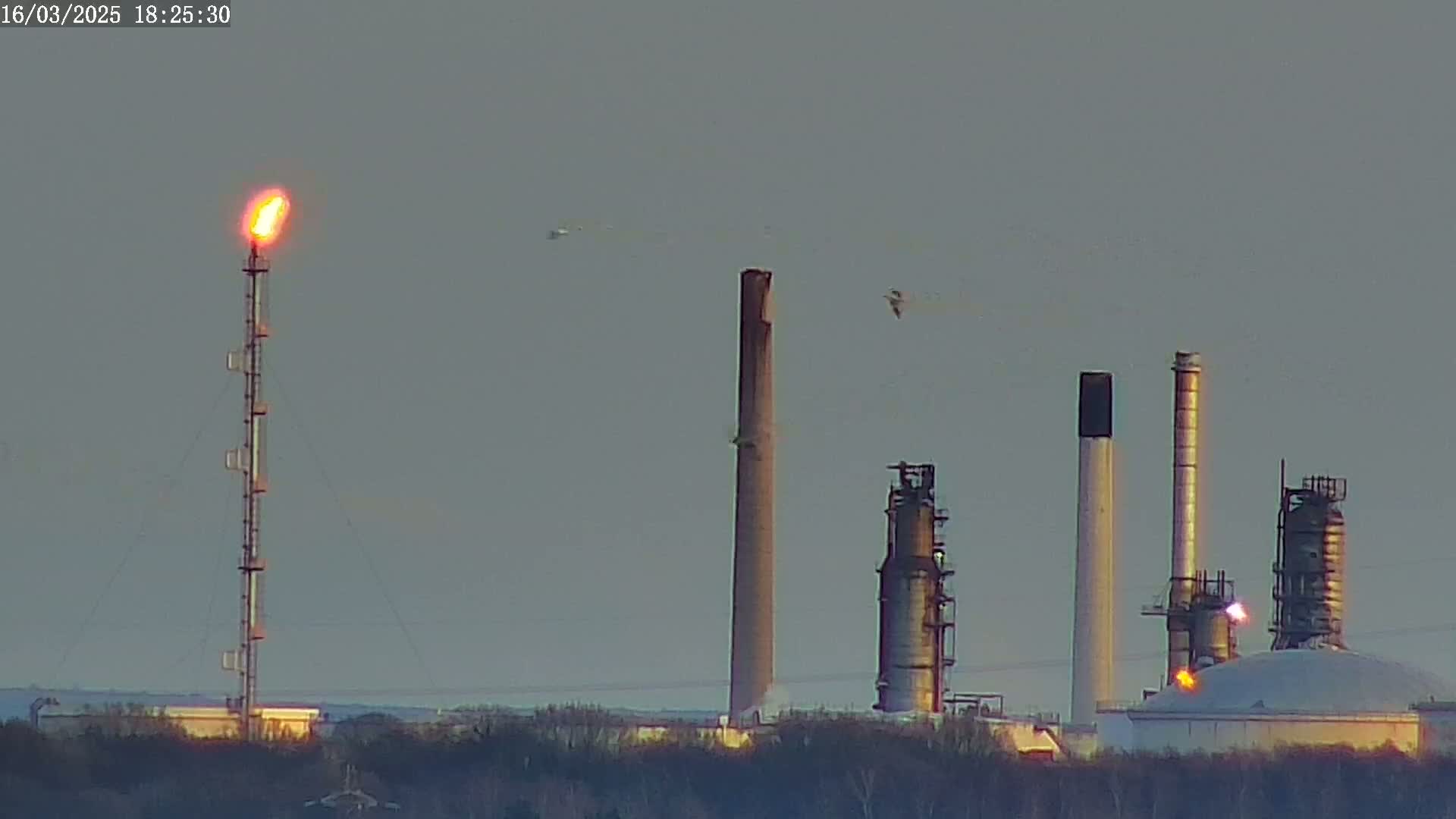 A distant industrial facility with tall smokestacks and a flaring gas tower is visible under a pale, overcast sky.