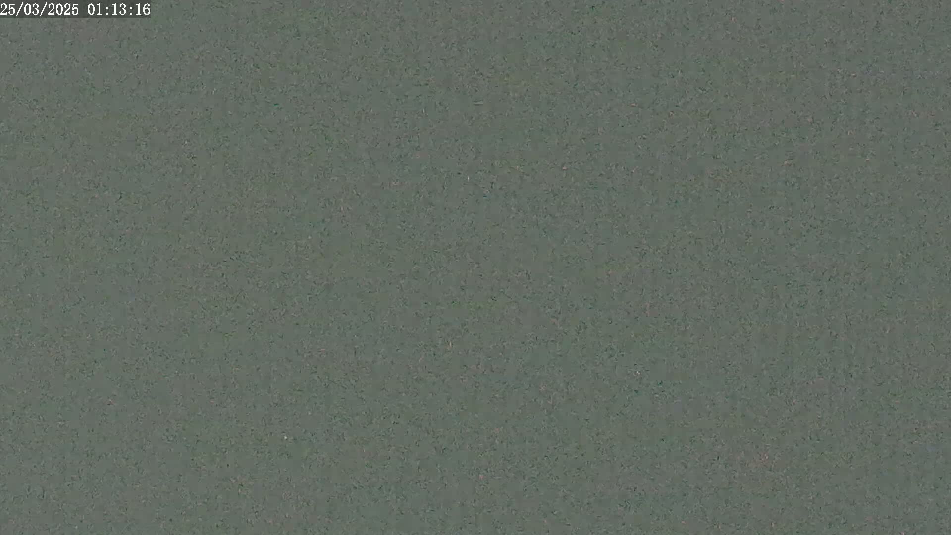 The image shows a uniformly textured, dark grayish-green surface.