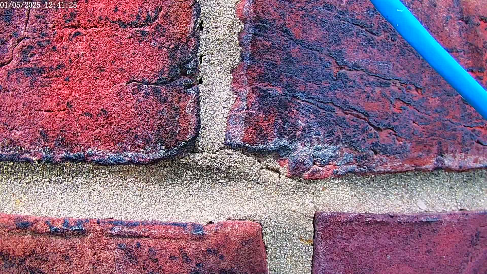 A close-up view shows a section of weathered red brick with light gray mortar, and a blue cable diagonally across the corner.
