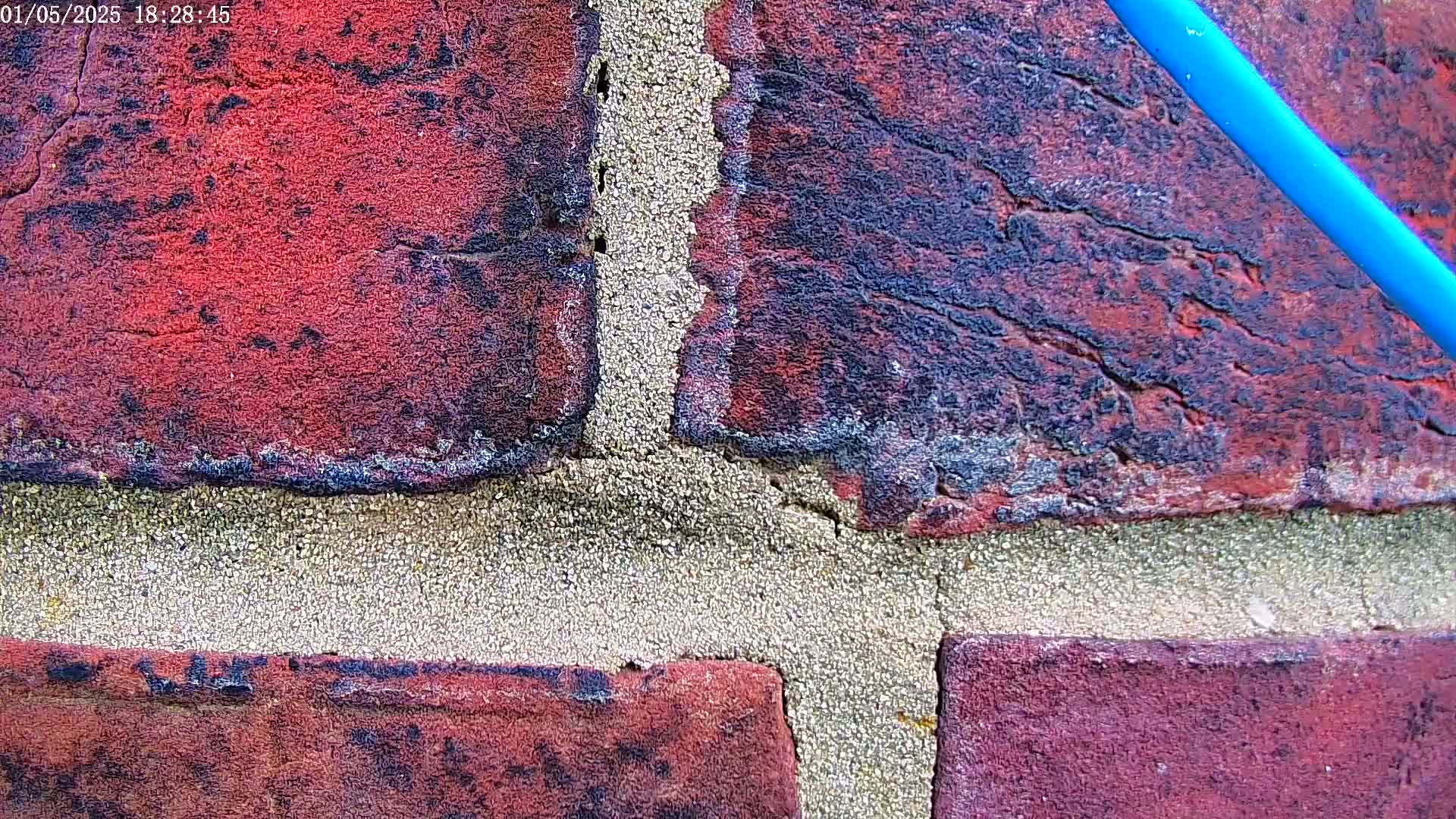 A close-up shows a weathered brick wall with light-grey mortar, and a section of a bright blue cable is visible in the upper-right.