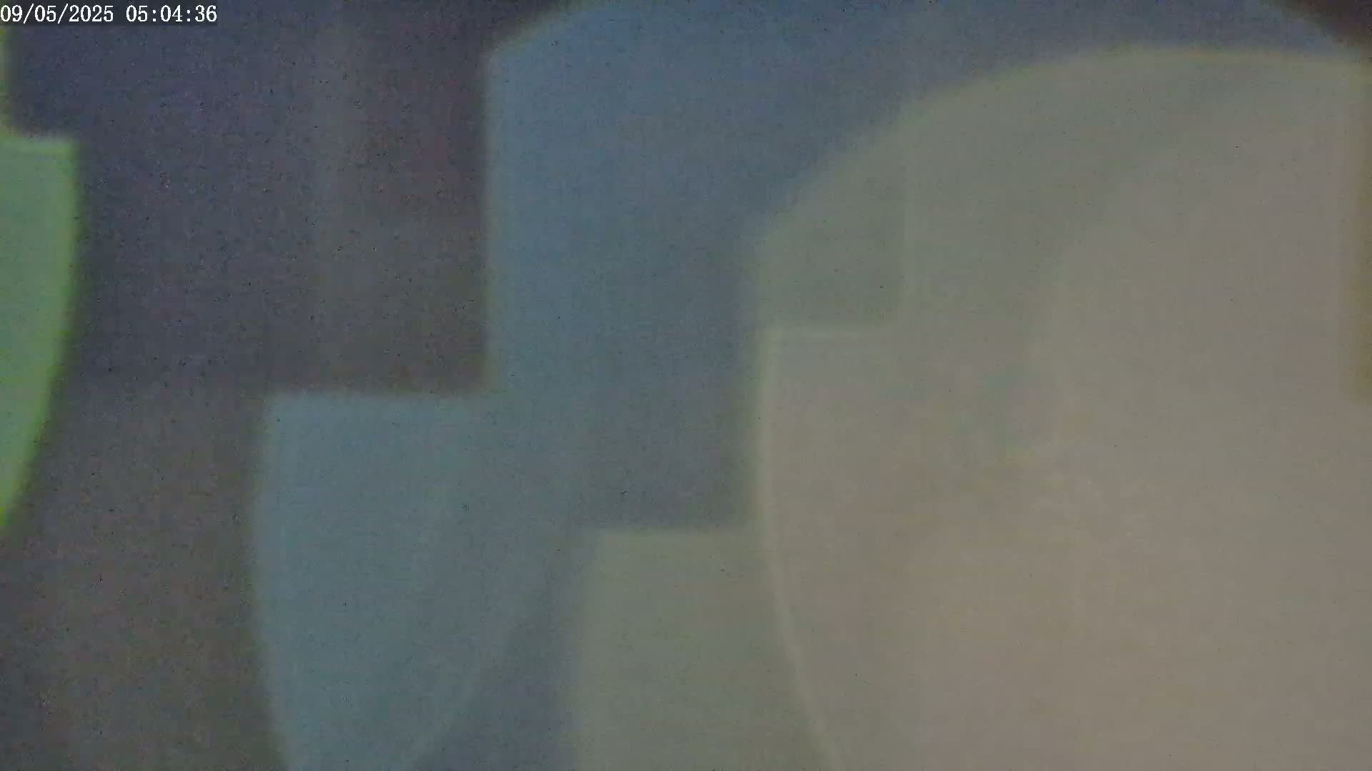 Blurred, out-of-focus shapes in muted greens and grays are visible.