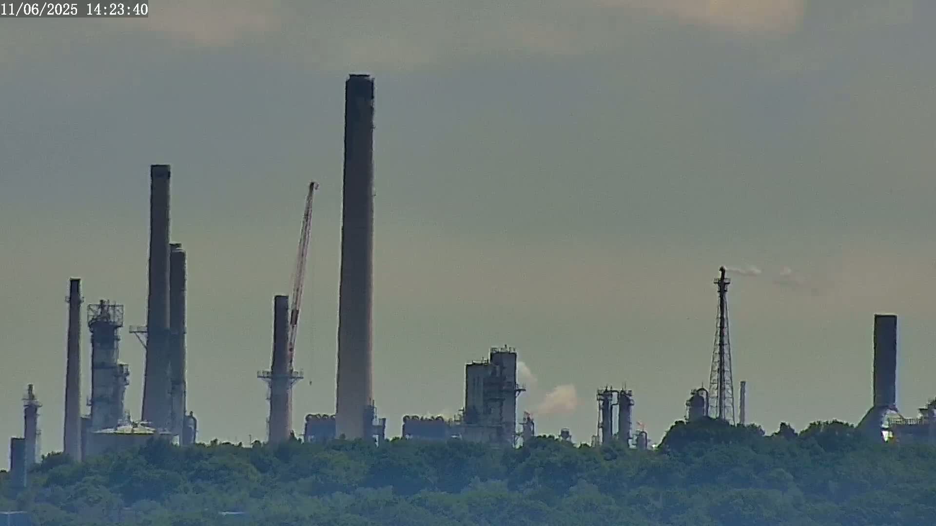 An industrial plant with numerous tall smokestacks and other structures is visible behind a line of trees under a hazy sky.