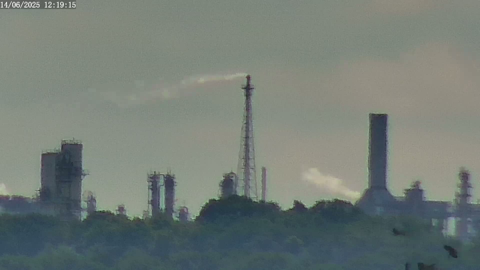 An industrial plant with several tall structures and smokestacks is visible behind a line of trees under a hazy sky.