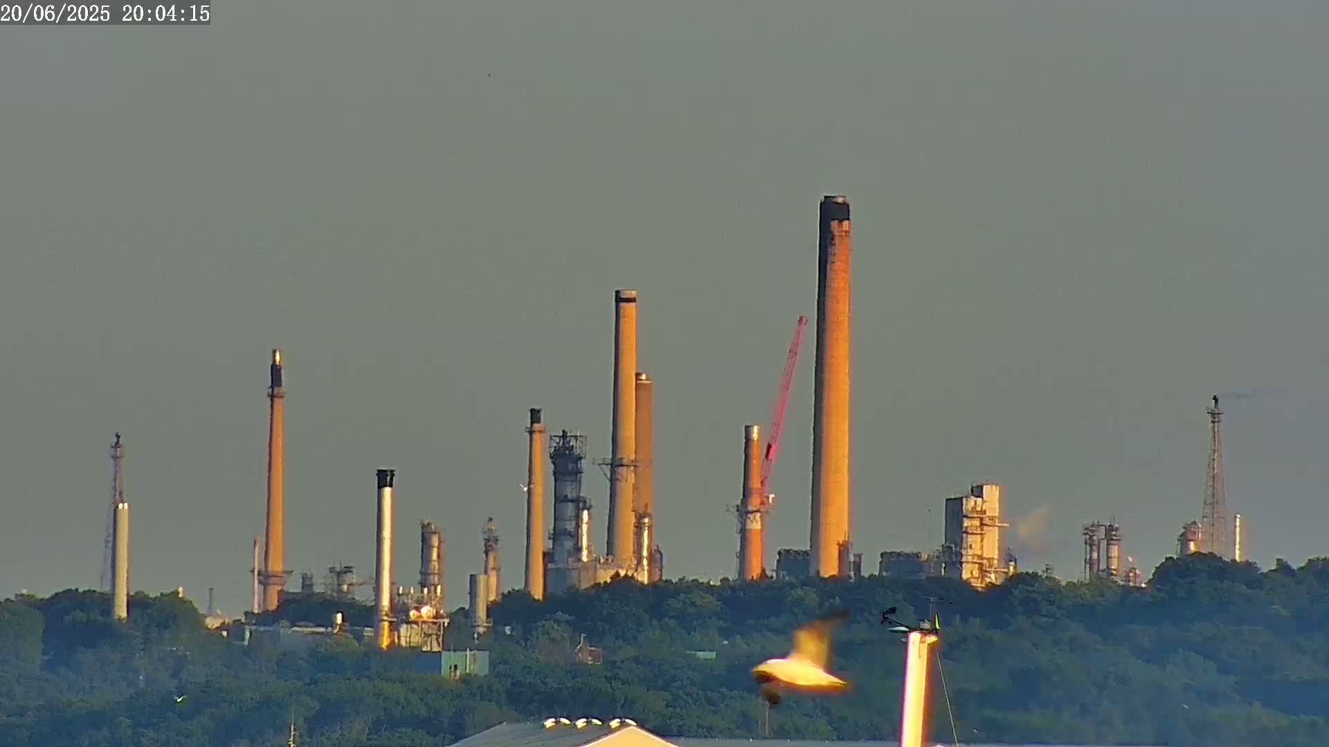 Fawley, ExxonMobil Refinery Live Cam - New Forest, Hampshire, South East, England, United Kingdom