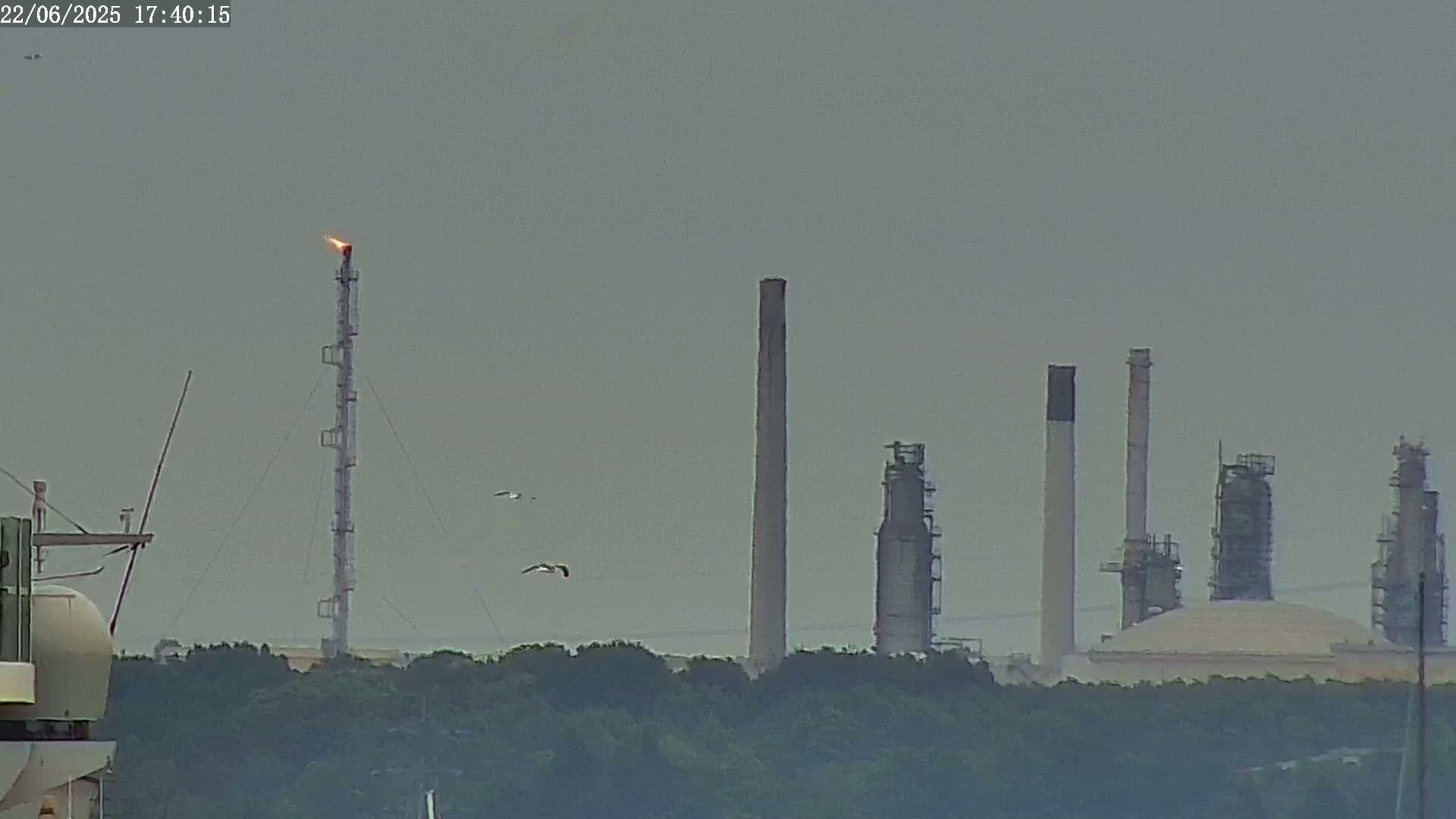 A hazy view shows several industrial smokestacks, one with a burning flare, situated behind a line of trees, with a few birds in flight.